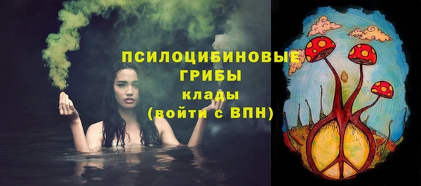 ГАЛЛЮЦИНОГЕННЫЕ ГРИБЫ Алзамай