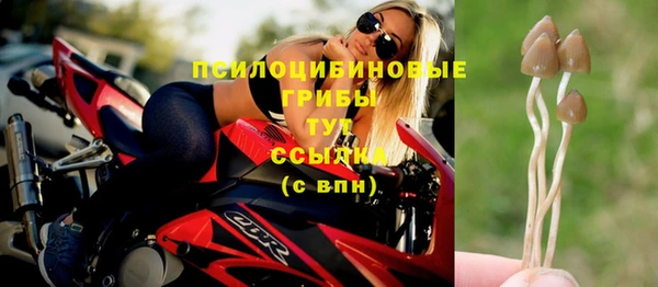 тгк Алексеевка