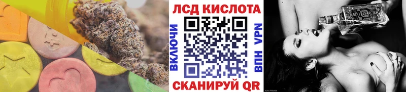 хочу наркоту Болотное Лсд 25 экстази ecstasy