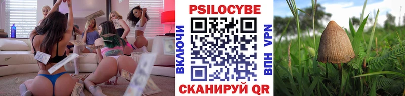 Псилоцибиновые грибы Cubensis  гидра ССЫЛКА  Болотное  наркошоп 